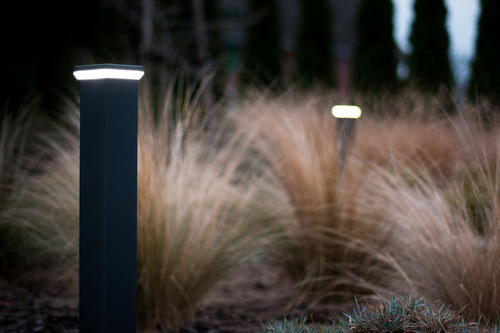 Ogród rozświetlony w zimowe wieczory - ogrodowe lampy LED